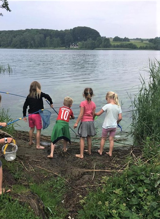 Billede af børn, der står ved bredden af en sø og fisker med fiskenet. 