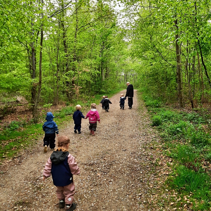 Billede af en flok børn, der går på en sti gennem en grøn skov.